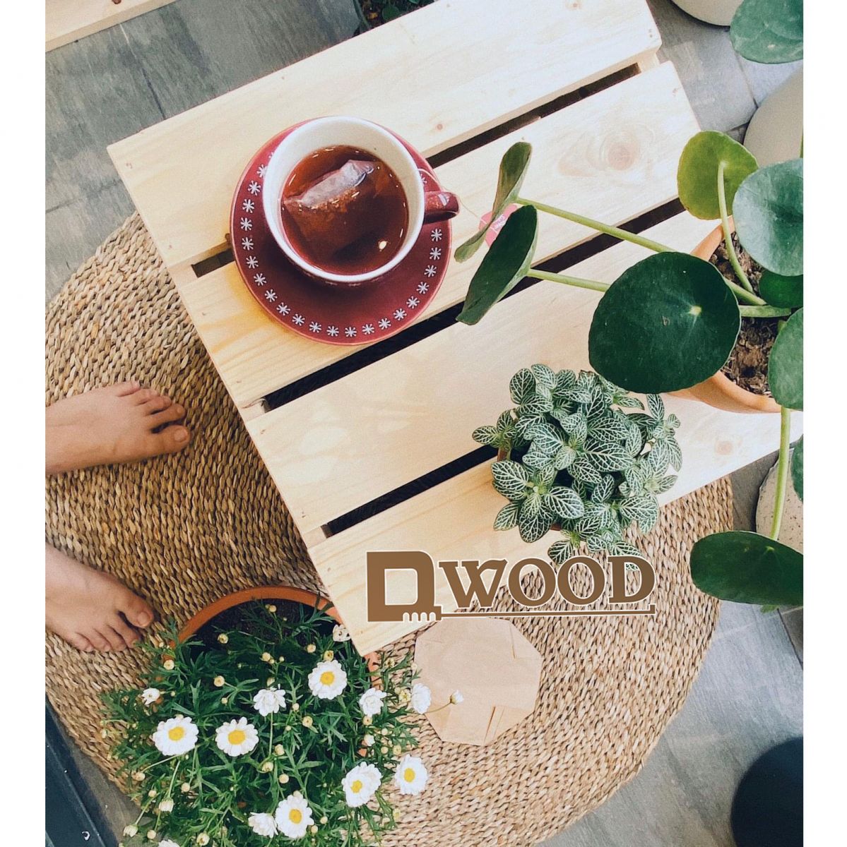 Bàn trà gỗ thông hộp Dwood - tinh tế, gọn nhẹ