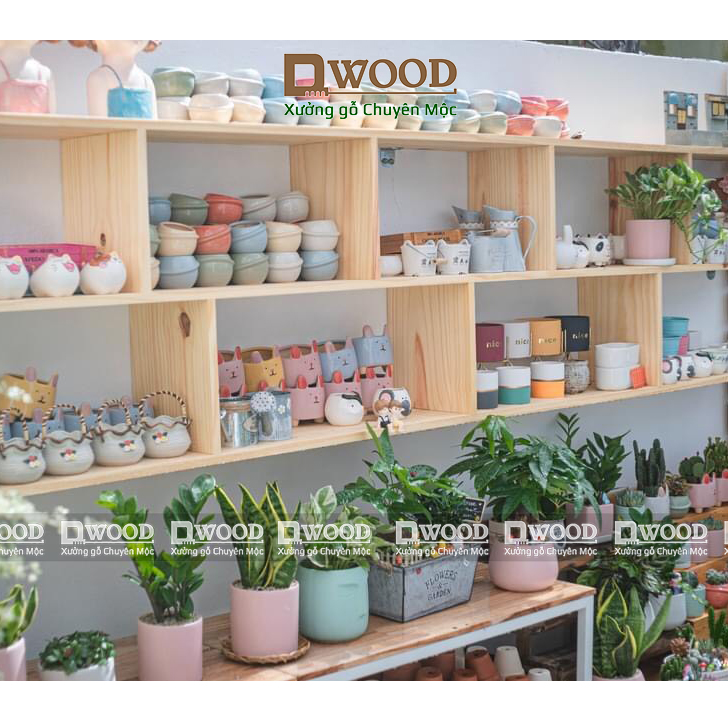 Kệ trưng bày gỗ thông Dwood treo tường theo yêu cầu
